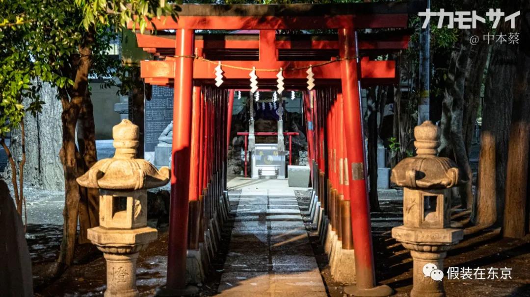 365张照片回顾,365张相片