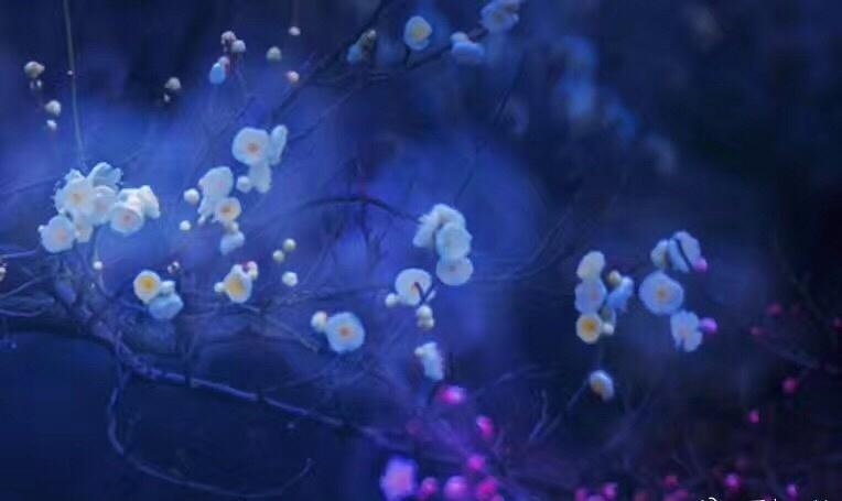 30张经典老照片说说,很有年代感的老照片