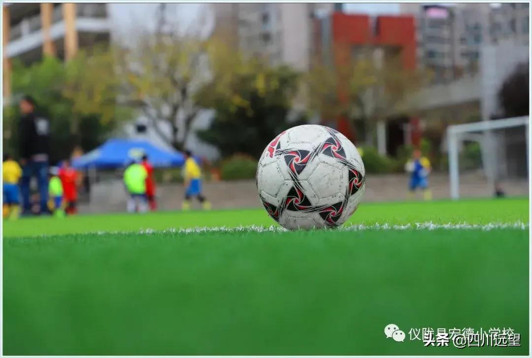仪陇县新政小学足球联赛2023,仪陇县新政小学第九届足球比赛