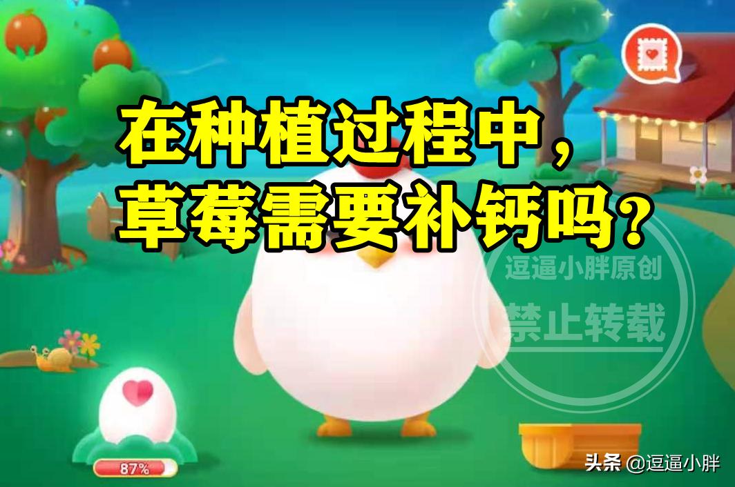 种植草莓老是有蚂蚁怎么办,草莓种植中需要补钙吗