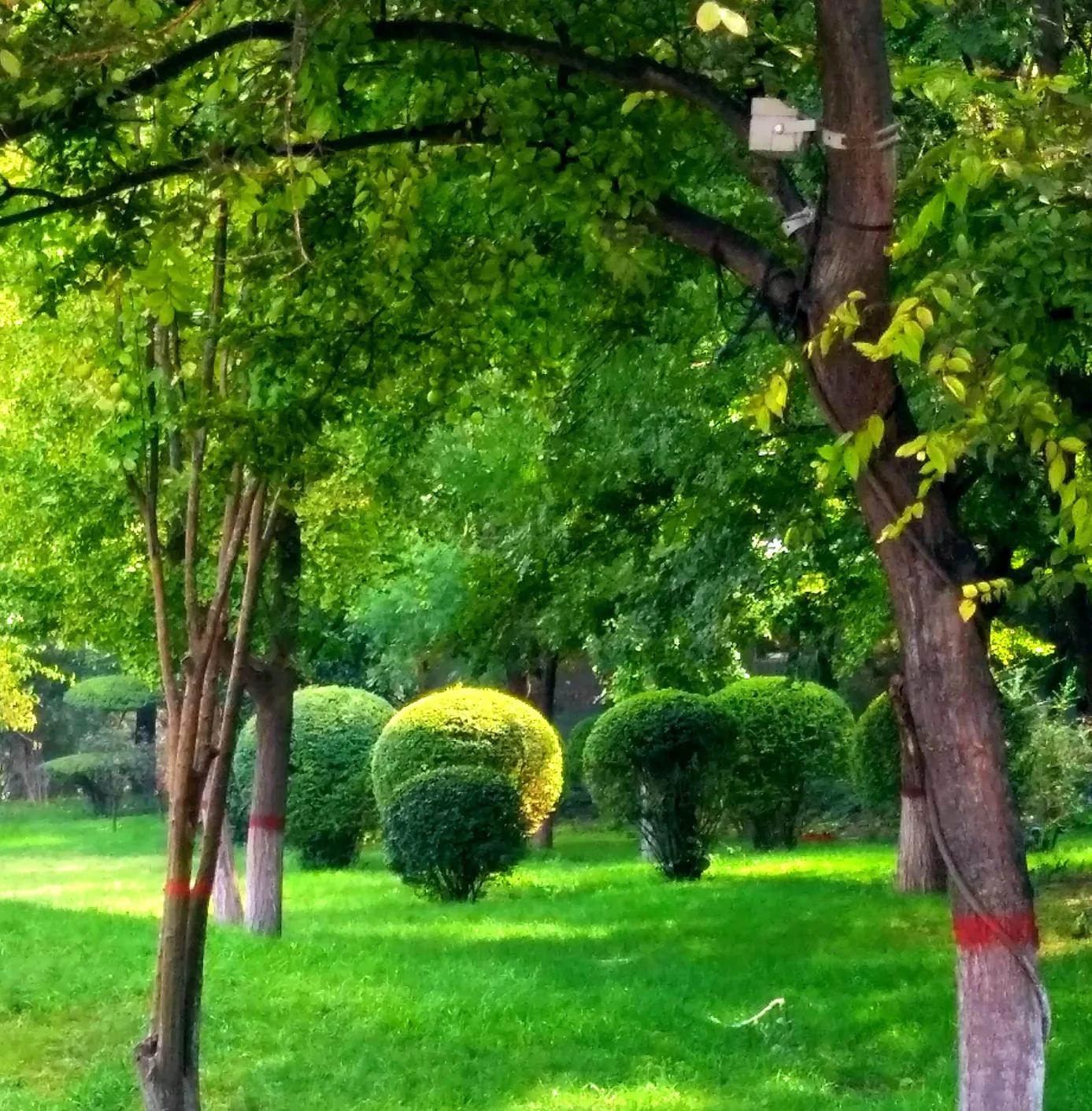 网信办治理自媒体乱象举报,自媒体乱象的案例最新