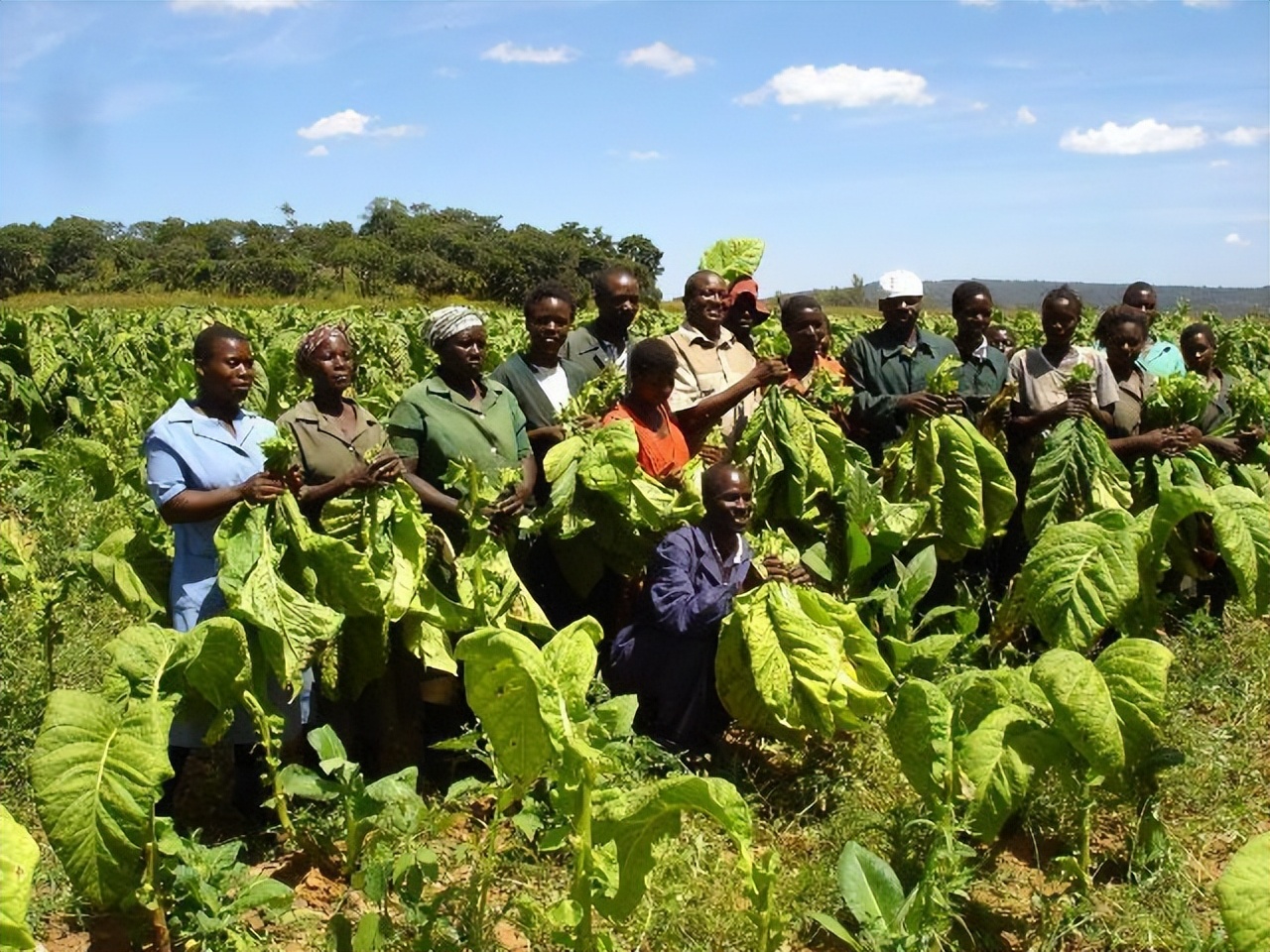 全球所有亿万富翁,全球亿万富豪多少人
