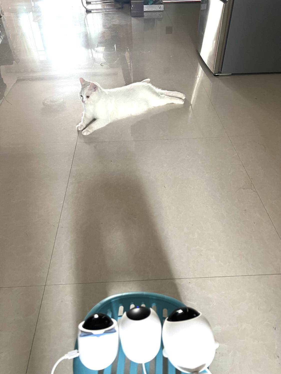 家用网络摄像头推荐2020,2023年家用摄像头排行