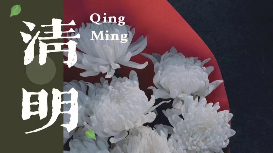 飘落的花瓣是凋零的思念,凋零的花瓣简单手工幼儿