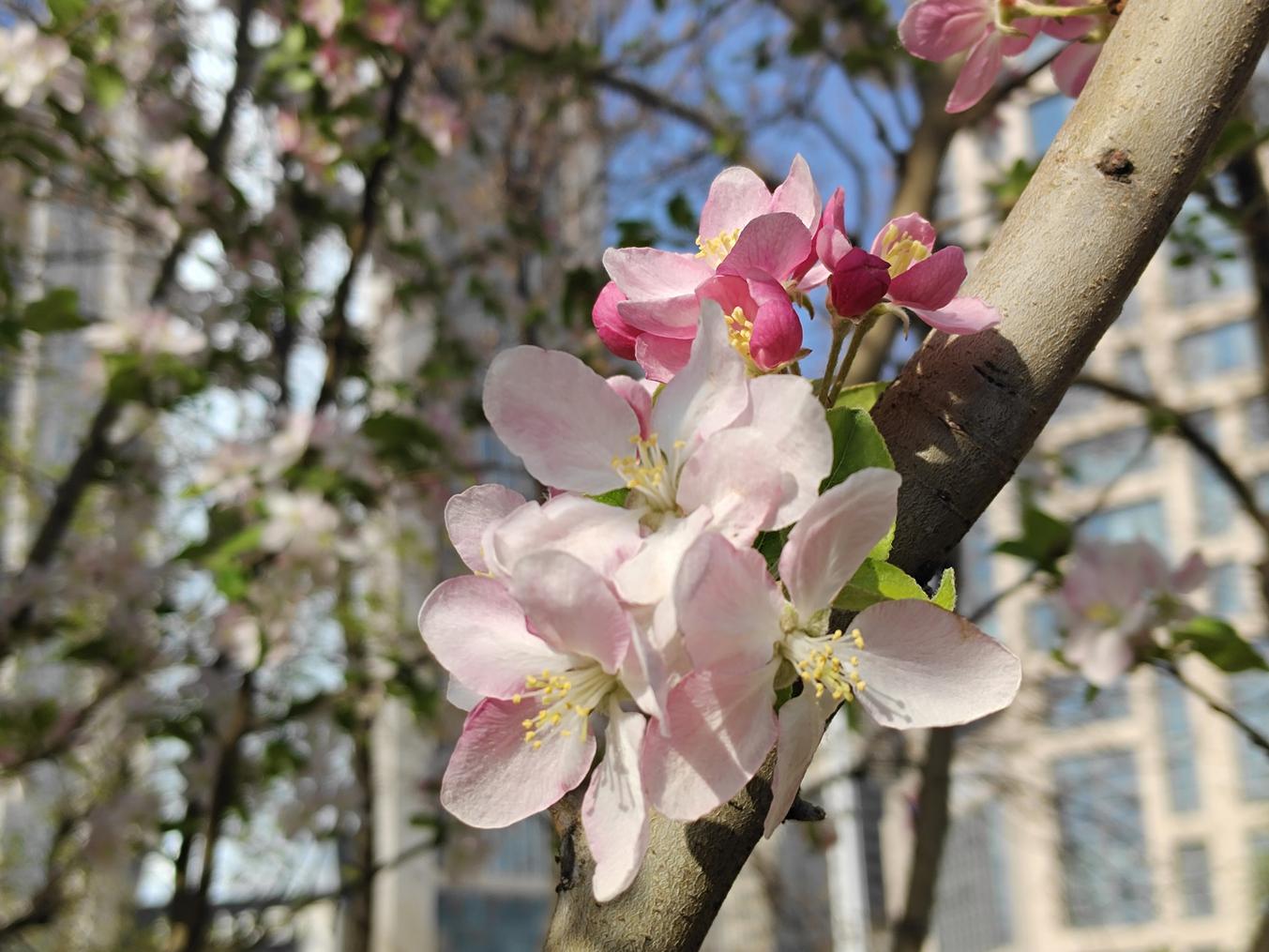 iqooz7手机知识大测评,iqooz7x80w快充测评