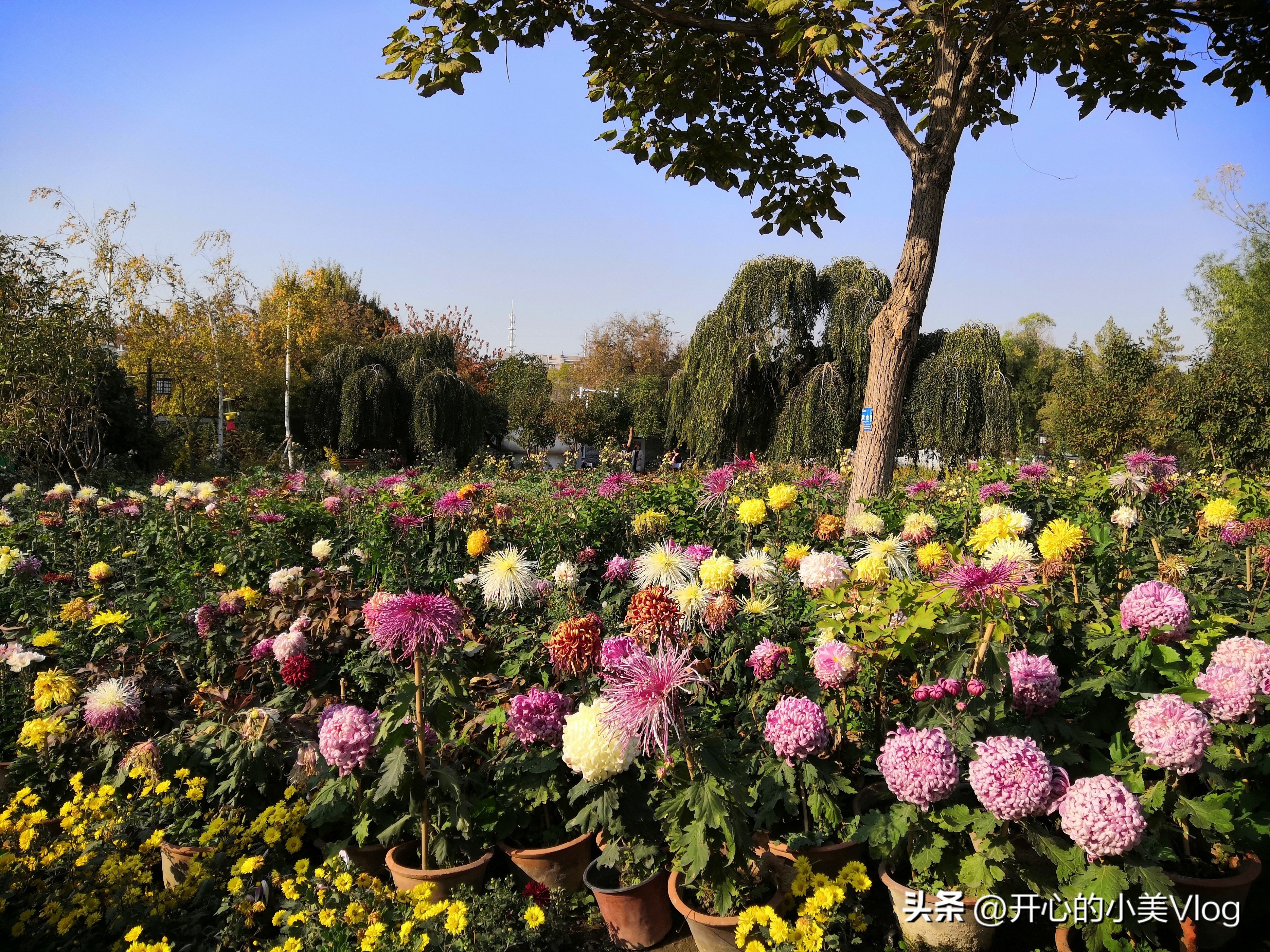 如果你有一个眼睛看不见的父亲