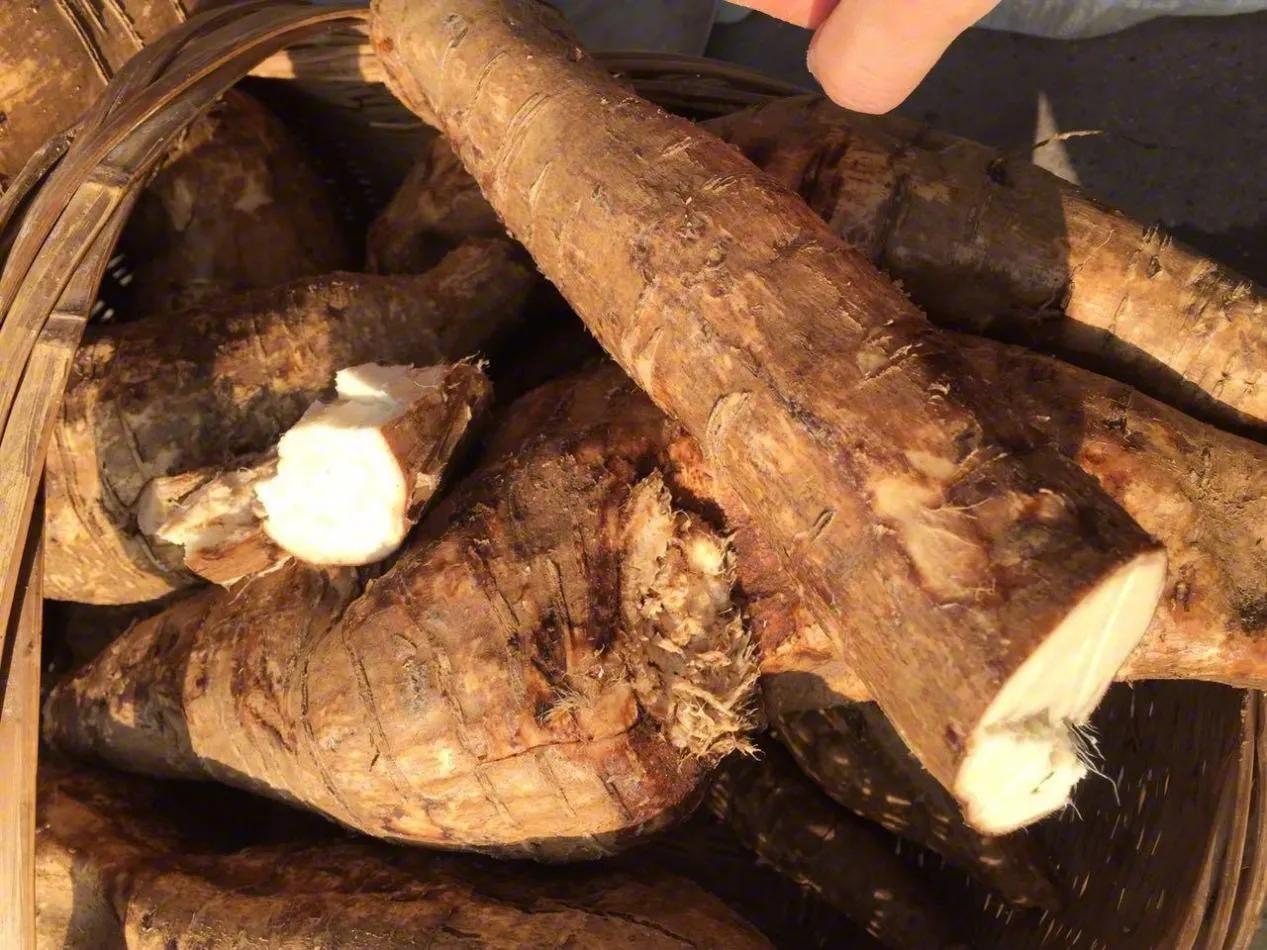 葛根的中药故事,中药材柴胡故事