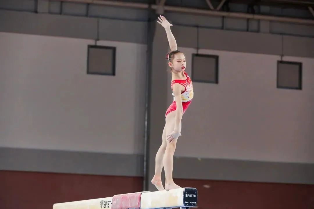 2023年上海体育学院招生简章,普陀区游泳学校招生