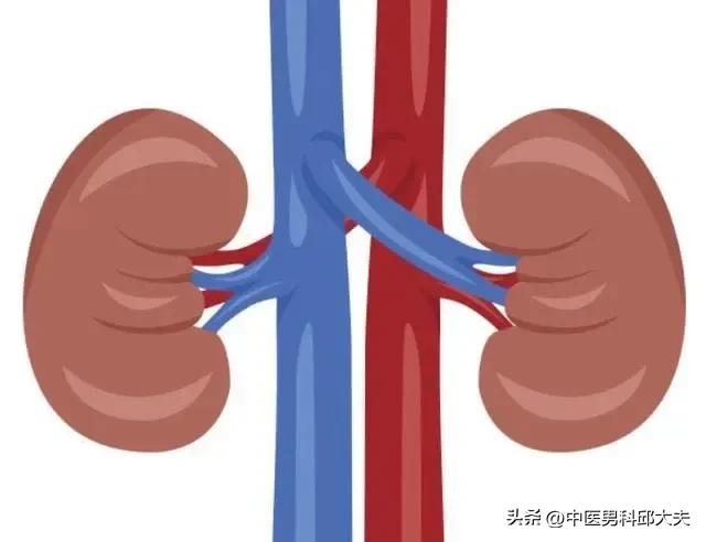 肾病可以吃滋肾宁神丸吗,滋肾宁神丸治什么病的