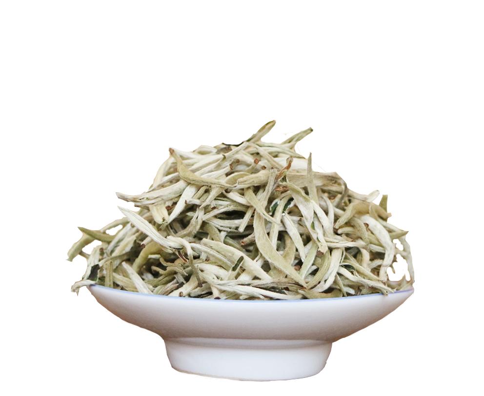 白茶为什么会返青,华源的白牡丹