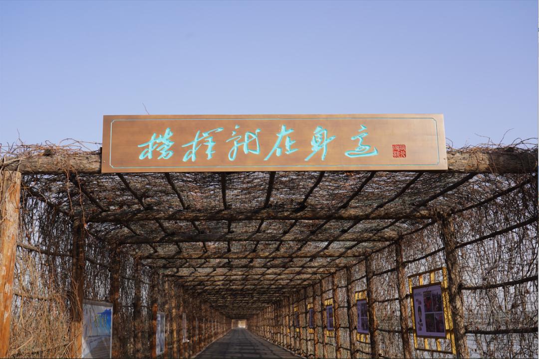 海南学雷锋志愿服务队,海南命名一批学雷锋示范点