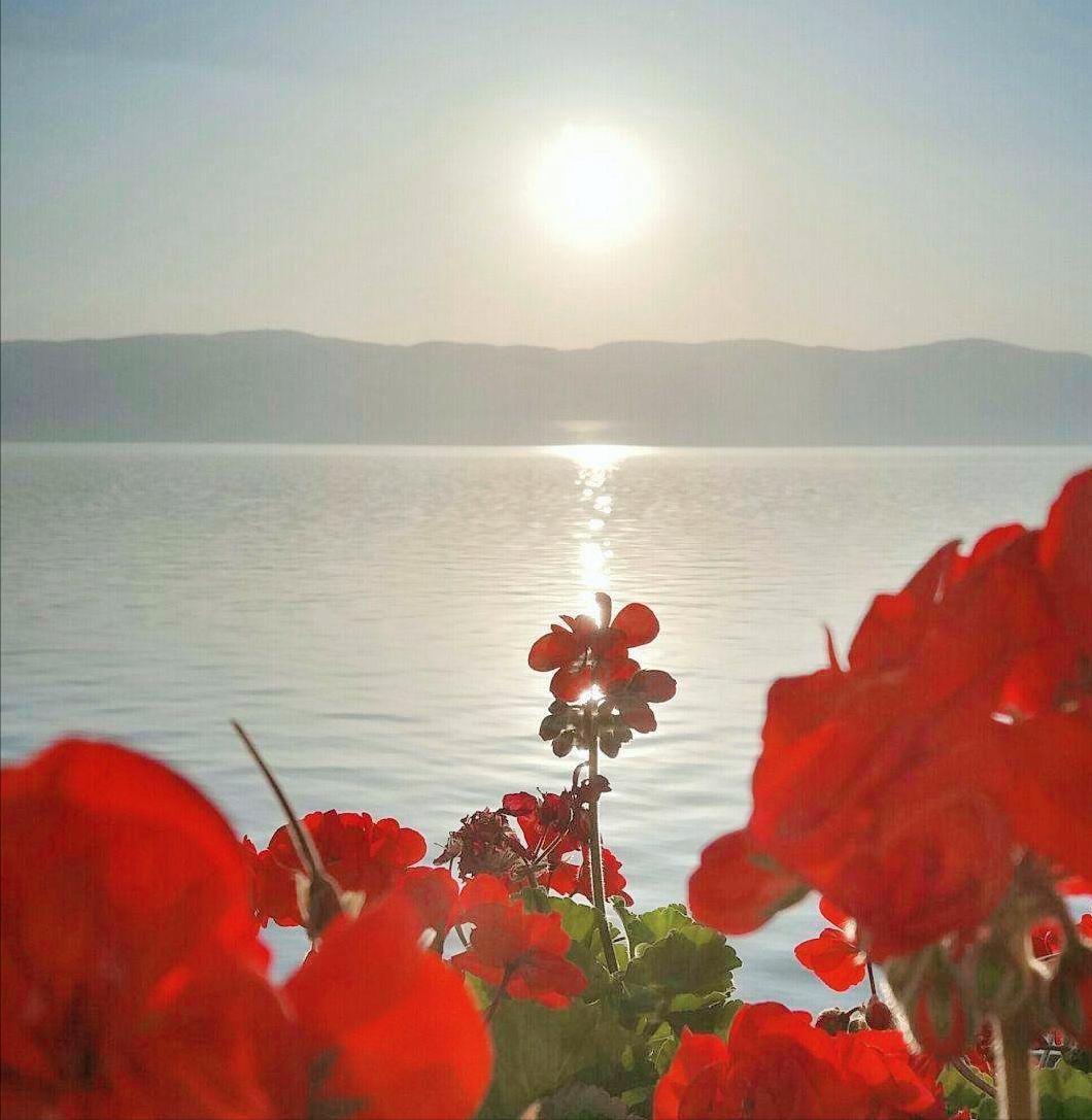 江南春天十大最美诗词,最美江南诗词100首简单