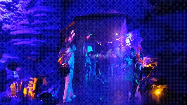 深圳盐田全攻略自由行,深圳盐田旅游攻略