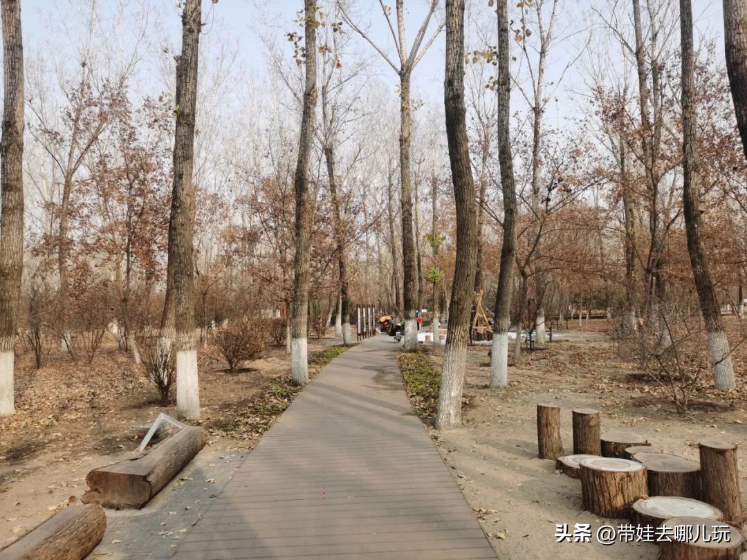 骑行国家森林公园,徒步骑行森林公园