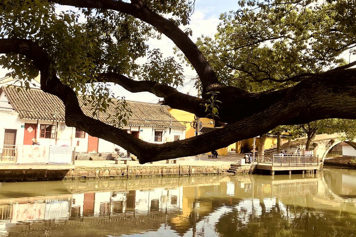 上海最老的古镇老街,上海最原始古镇在哪里