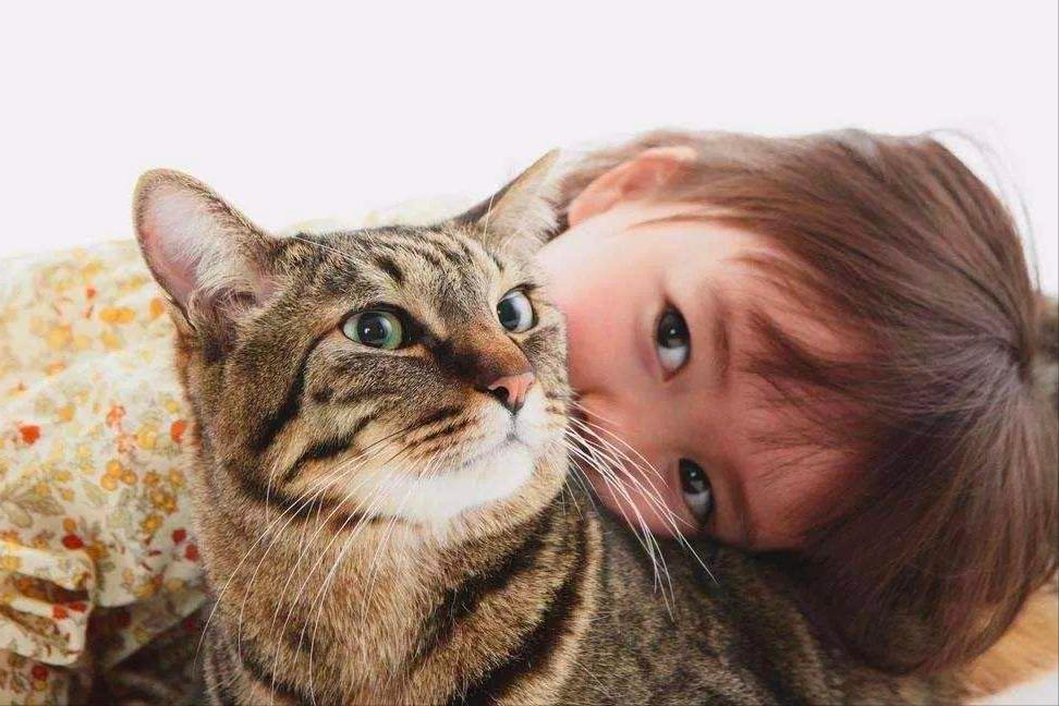 如果孩子想要一只宠物，家长先别左右为难，看完这篇文章再做决定