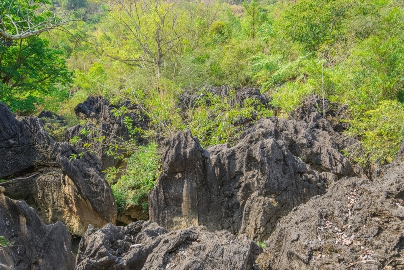 自驾游贵州黄果树旅游攻略,安顺黄果树景区旅游攻略路线推荐