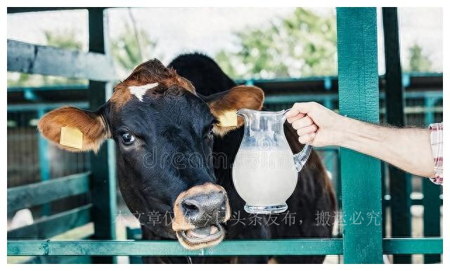股市分红除权除息实例讲解,现金分红股票除权除息怎么算