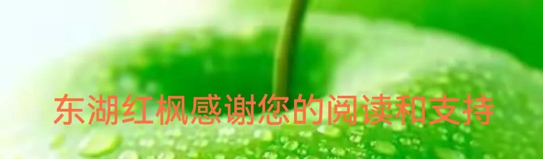 世界名画欣赏:软垫上的裸女