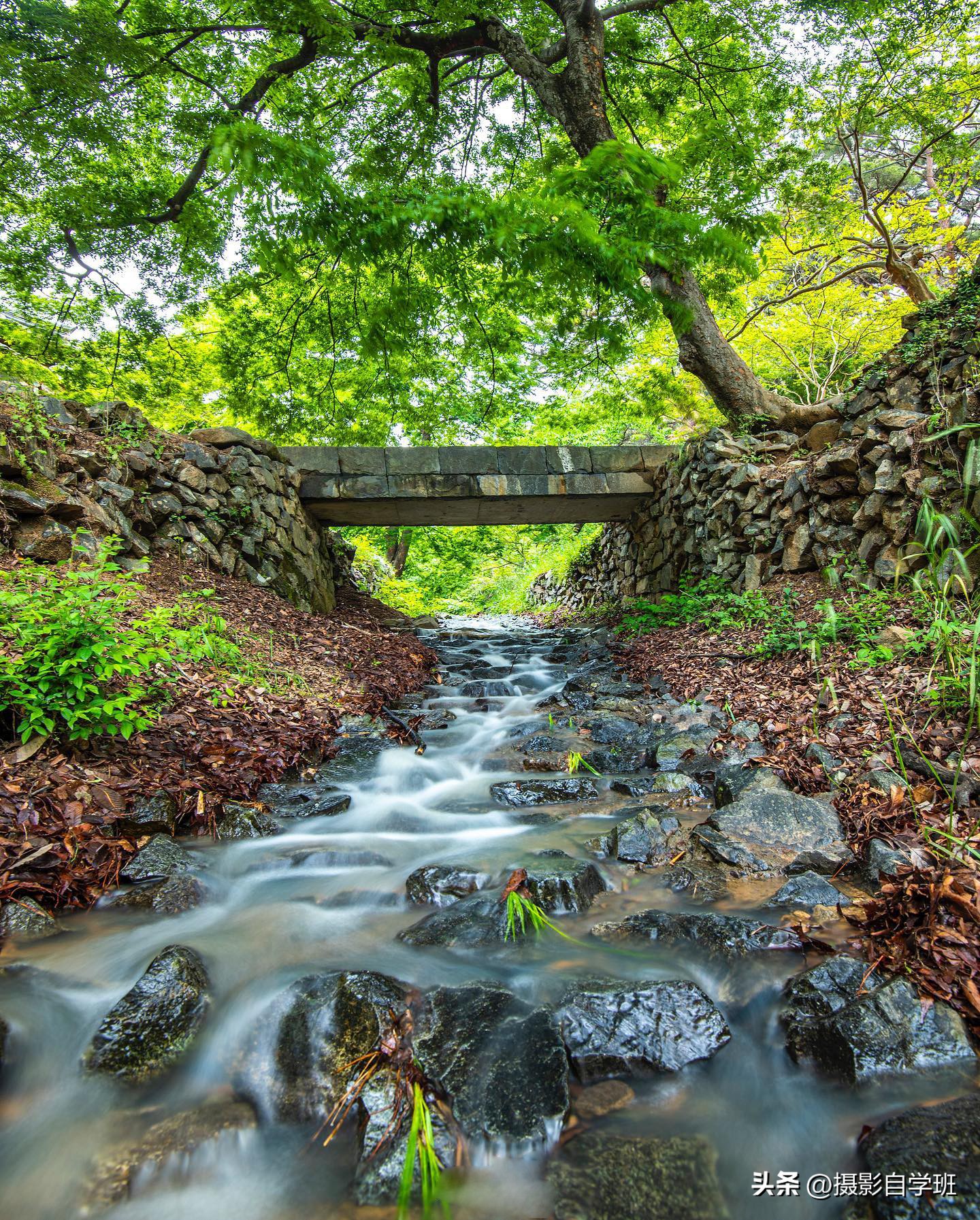 夏天怎么拍照更有夏天感觉,如何拍好夏天的照片