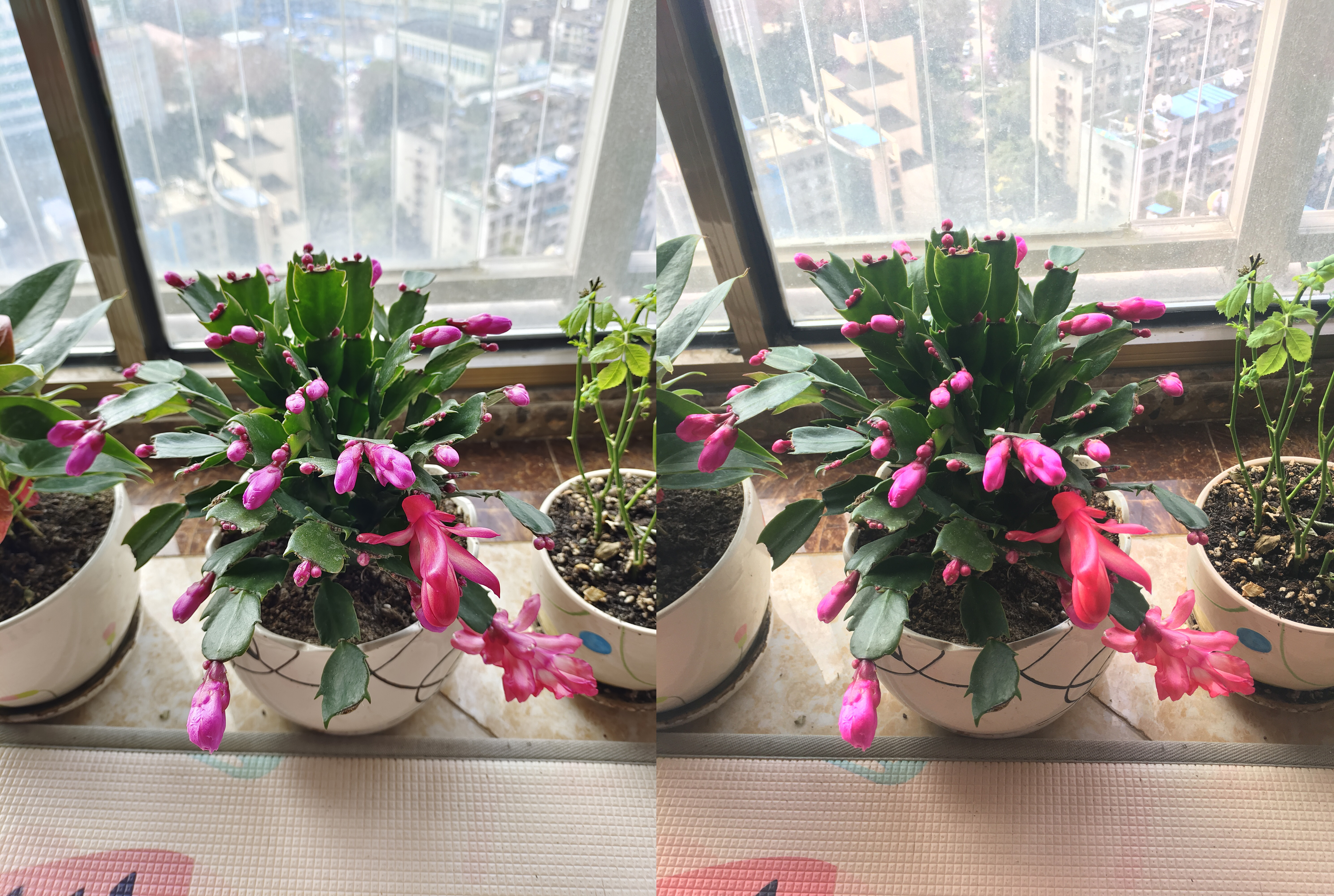 iqooneo5新手机换机,iqooneo5换新系统