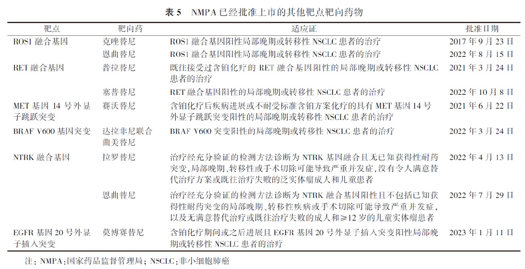 Ⅳ期原发性肺癌中国治疗指南（2023年版）