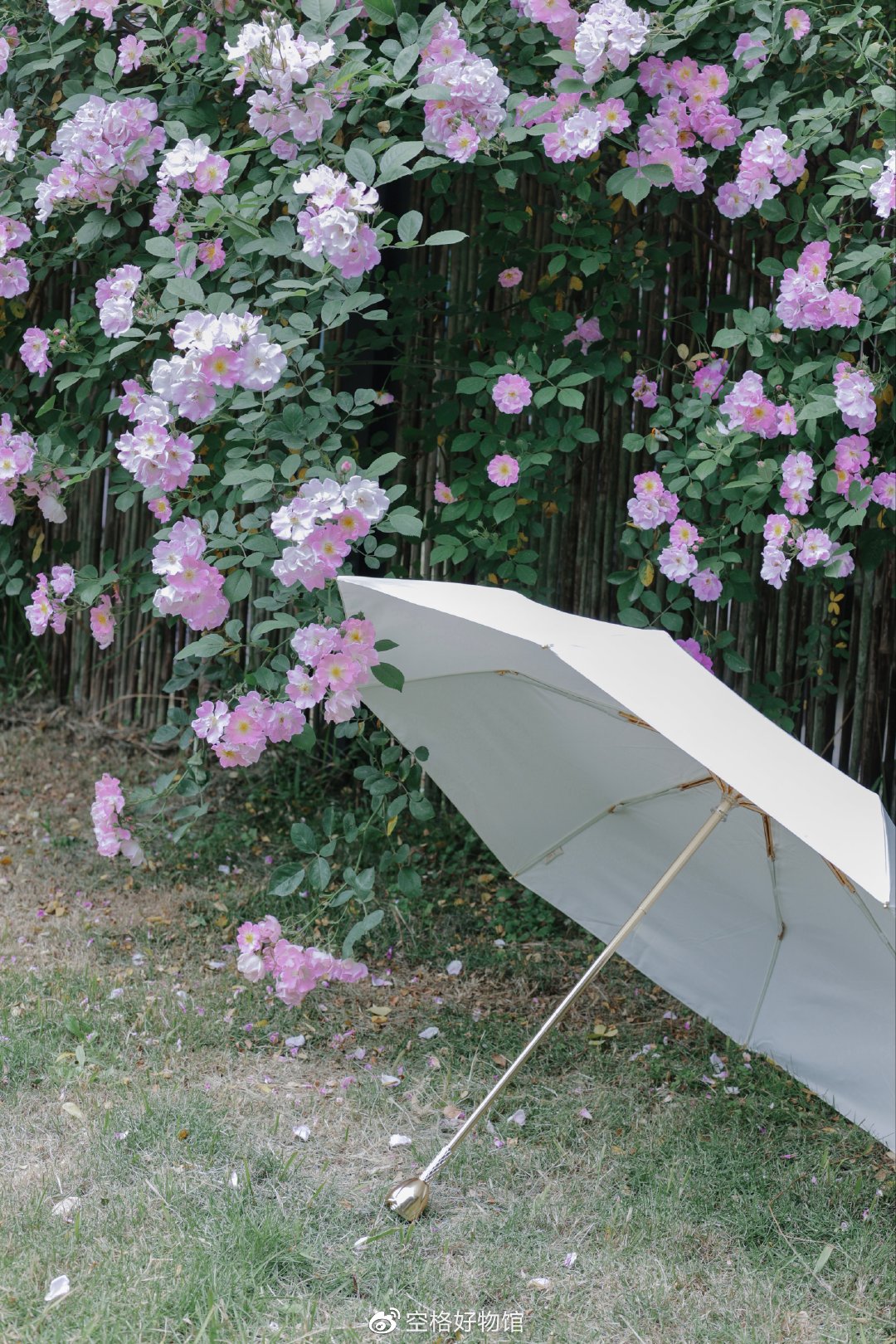 史上最惊艳的伞,防晒效果好又结实的伞推荐