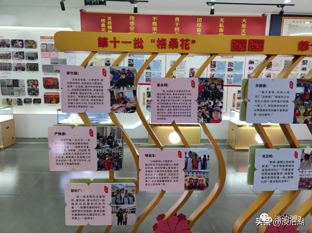 又一朵湖文“格桑花”盛开!音乐女孩跨专业考研上岸