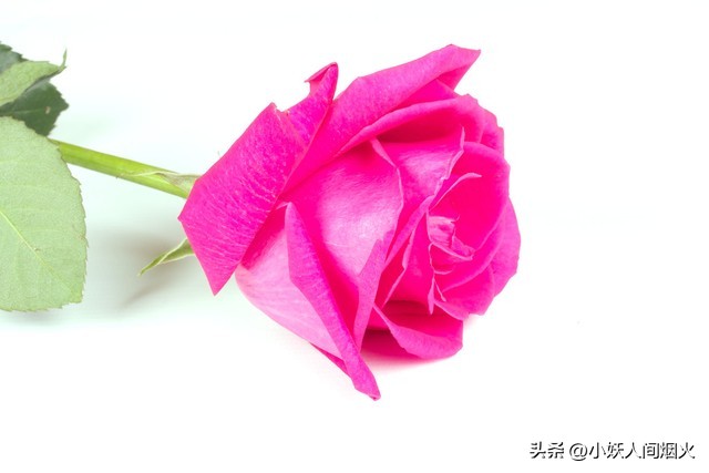 *处私**整形和修复这种活现在竟然这么火爆？真是颠覆了我的认知。