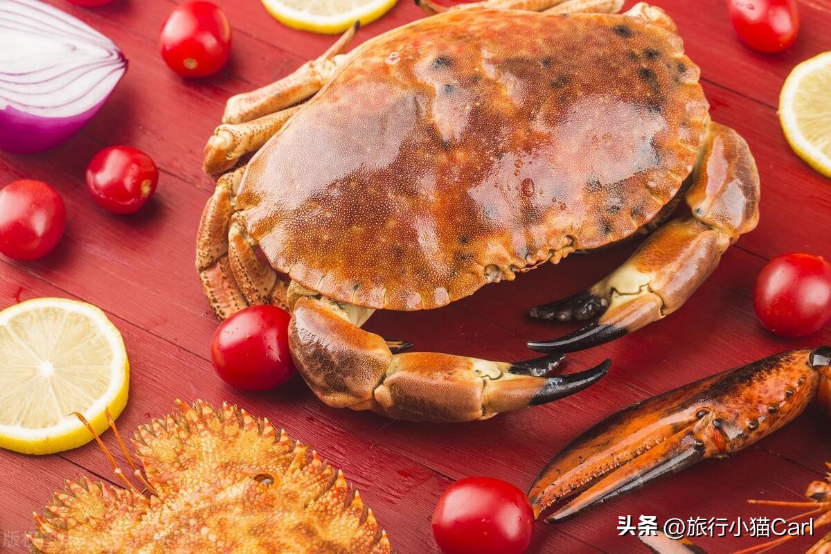 加拿大旅游攻略穷游网,加拿大旅游攻略14天自由行