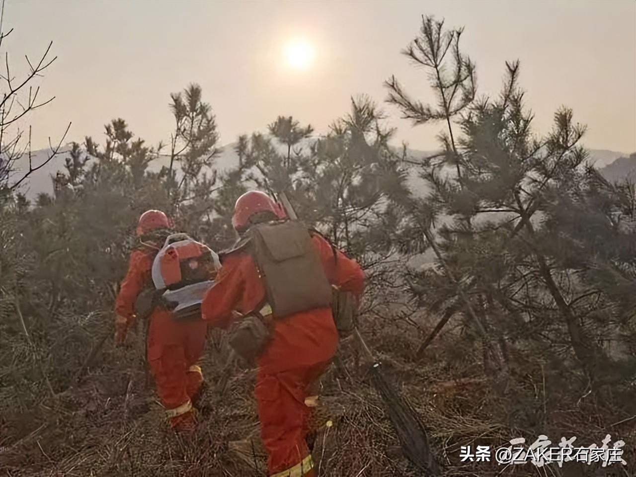 早新闻3.3|石家庄市劳动监察举报热线变更；这类考试将于3月4日至3月7日举行；这场招聘会就业岗位5万余个