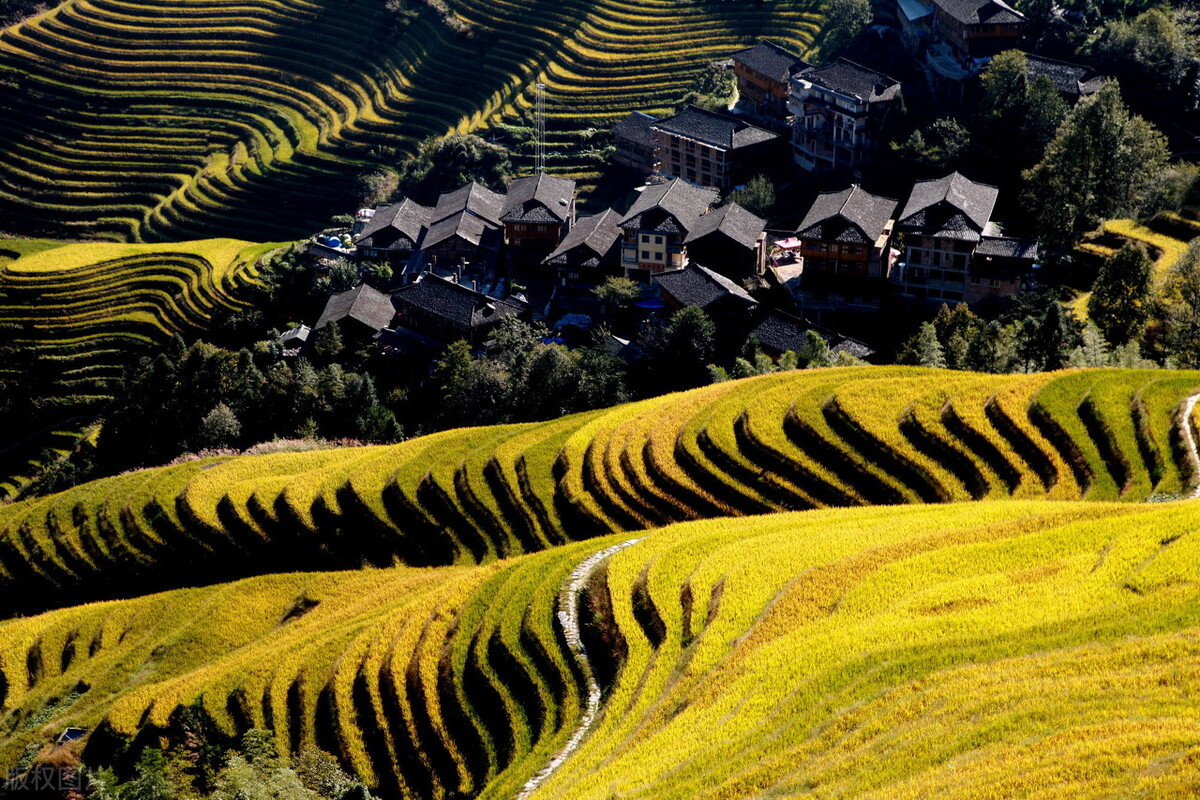 广西梯田龙脊梯田,龙脊梯田世界一绝美不胜收