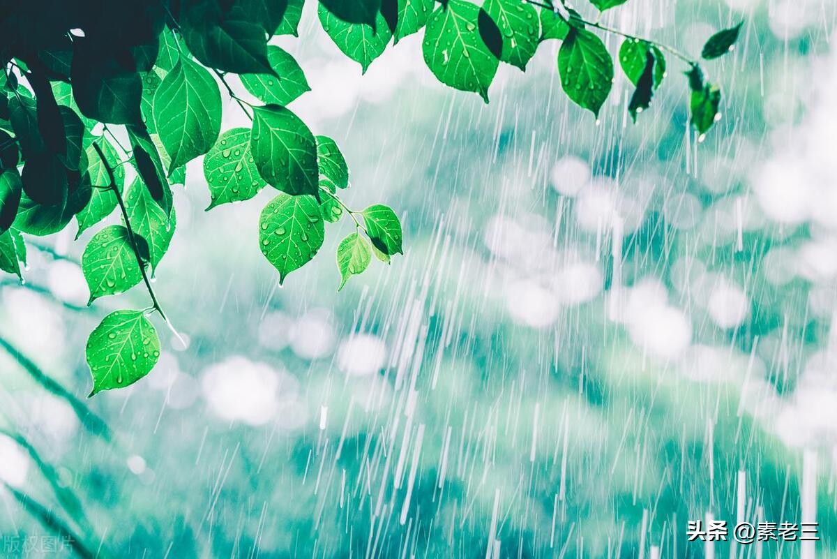 女作家去做保姆740集,女作家去做保姆最新篇418