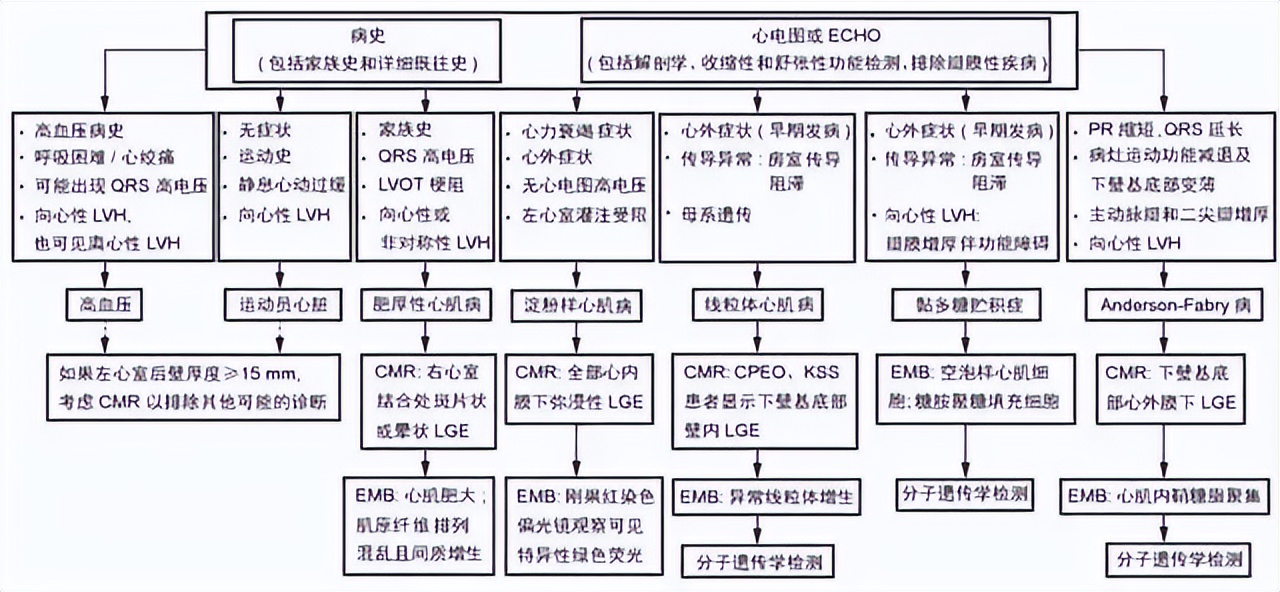 体检说心肌肥厚是怎么回事？造成原因有6种，不仅仅只有高血压