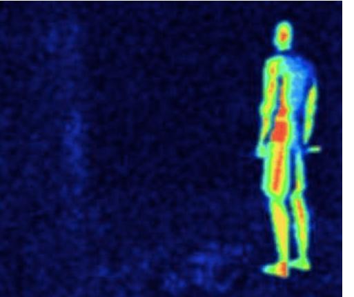 巨蟒报恩的真实事件,海南巨蟒为报主人救命之恩