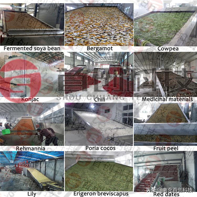 菊花电加热烘干机多少钱一台,上海菊花烘干设备价格