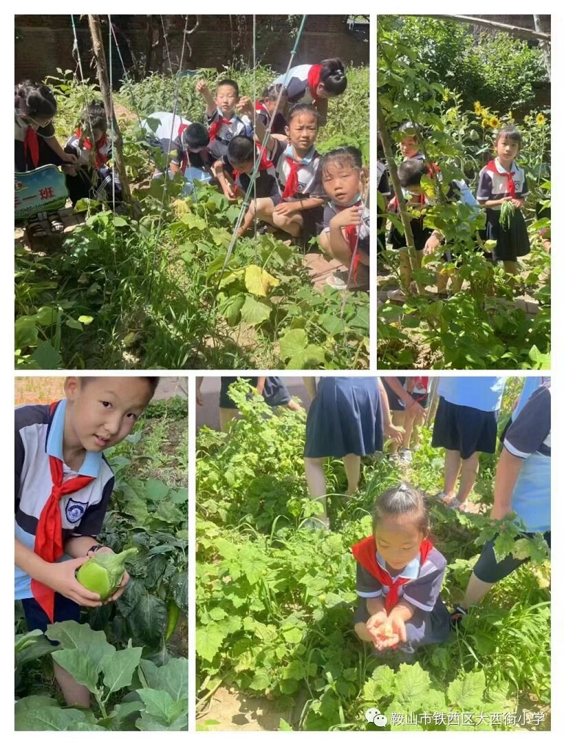 小学低年级考试主打“学以致用”让学生“乐”在其中