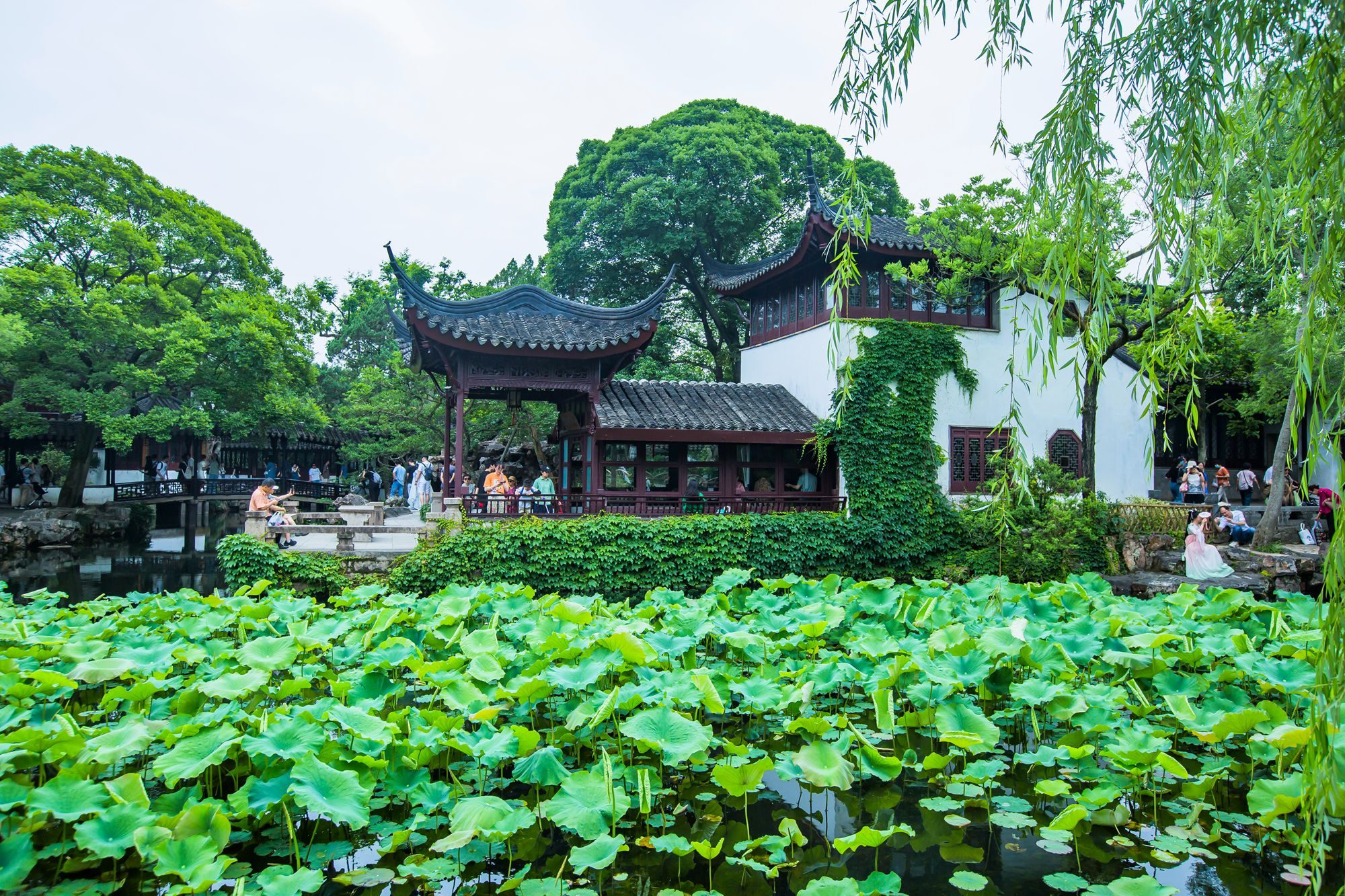 拙政园历届主人,苏州拙政园共经历多少任主人