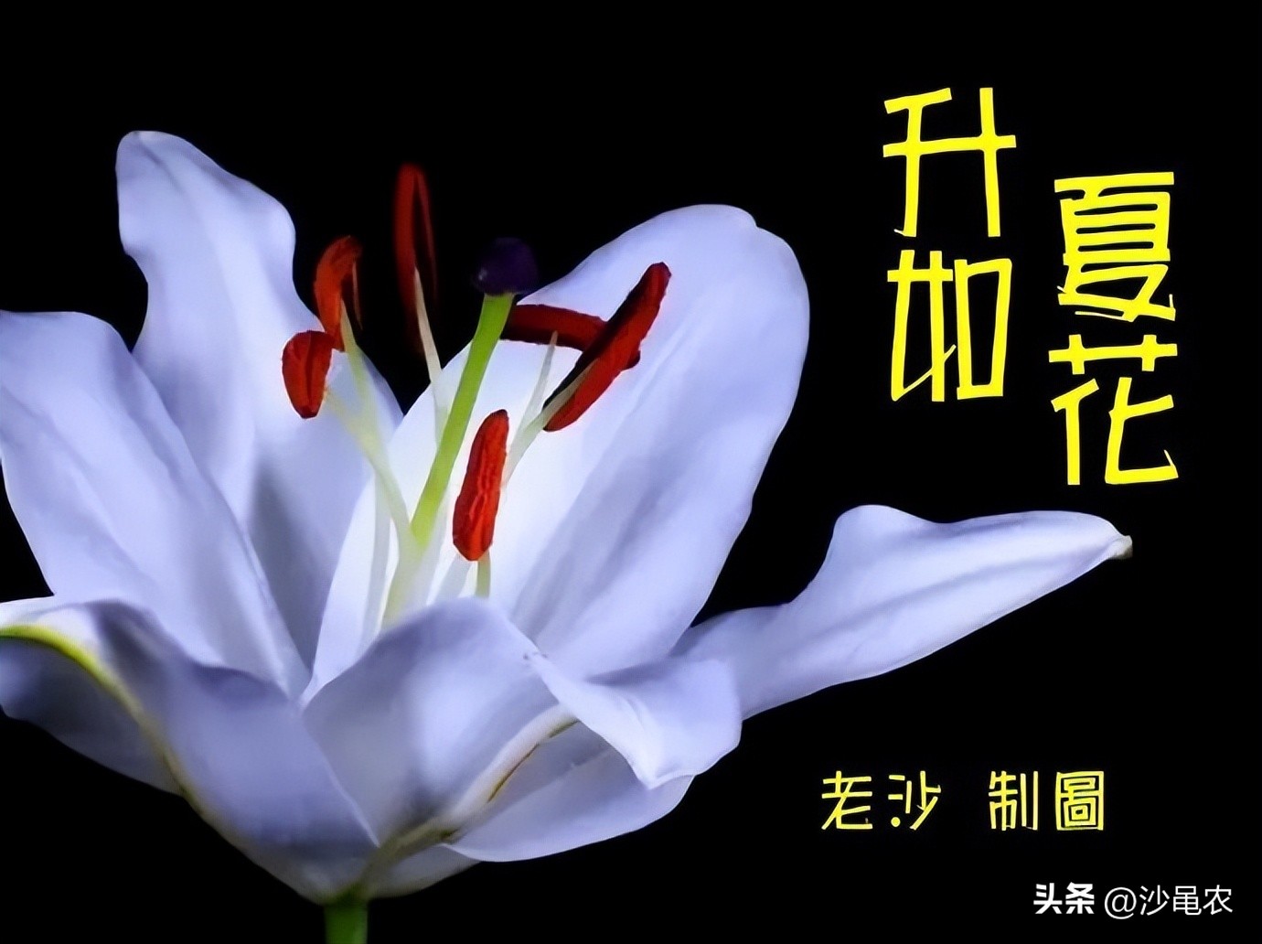 股市早8点空仓,股市竞价早8点下单有效吗