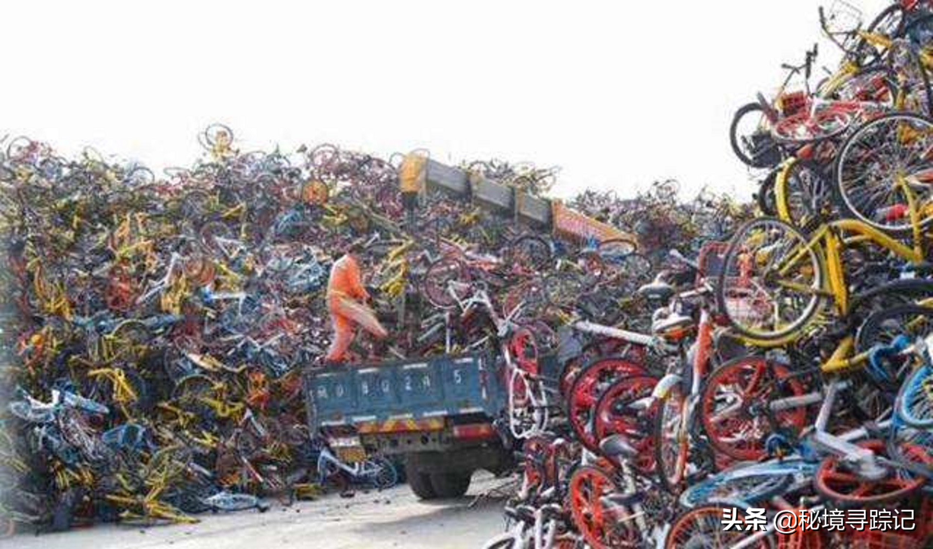 摩拜单车胡玮炜：三年赚15亿，“烂摊子”丢给美团，她的现状如何