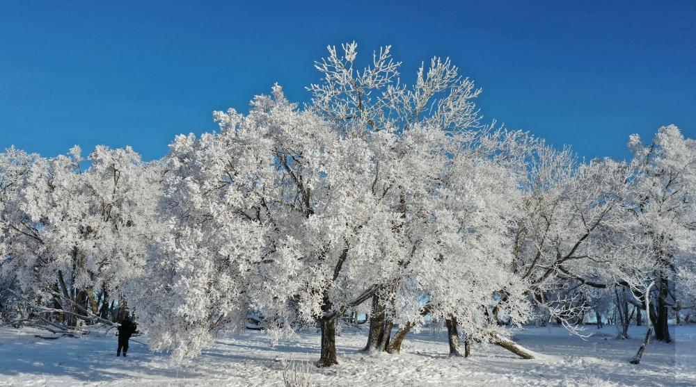 描写霜的诗句古诗名句,描写寒霜的诗句古诗大全