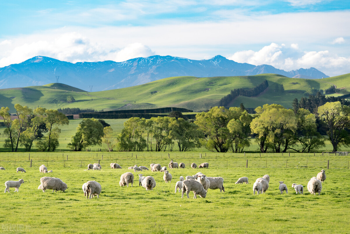 出国新西兰工作需要花费多少钱,新西兰工作一般出国可以停留多久