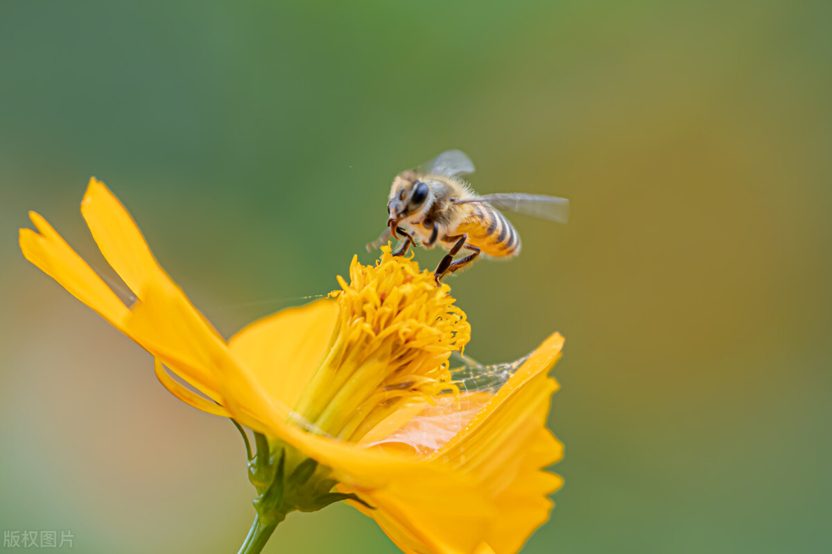 这些“一字题”诗词，题目只有一个字，却依然流传千古，都是名作