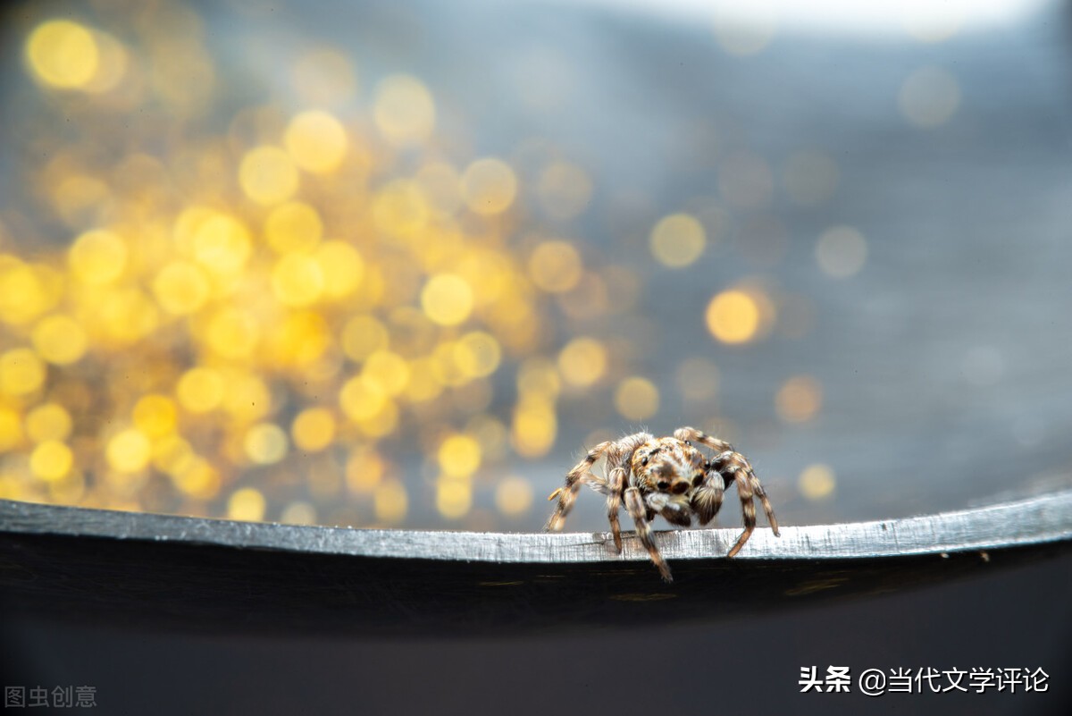 什么是老实人的特点,什么是老实人啊