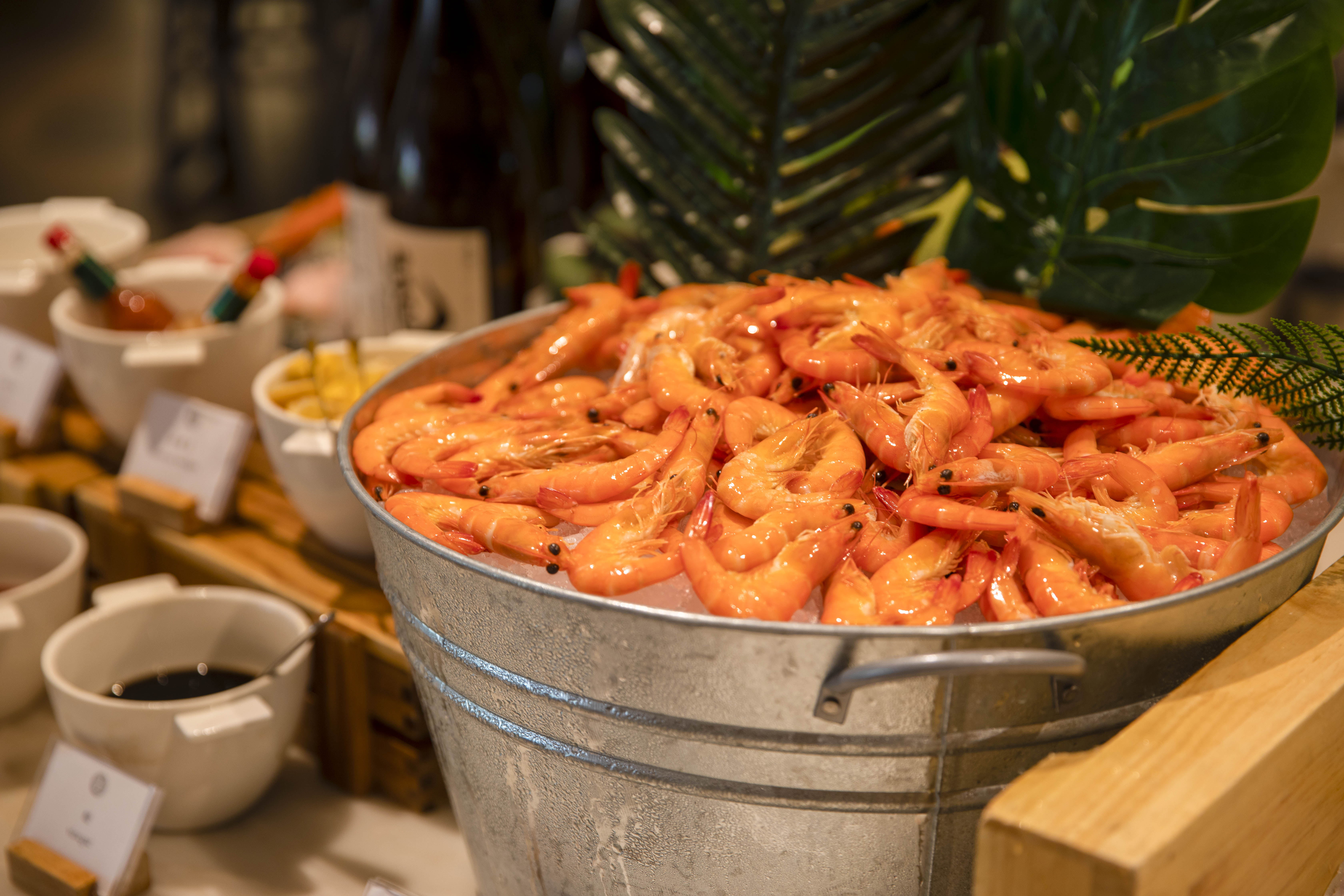 朗廷酒店是什么档次,朗廷酒店属于哪个集团