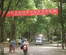 高考志愿咨询这块蛋糕还能做多大？