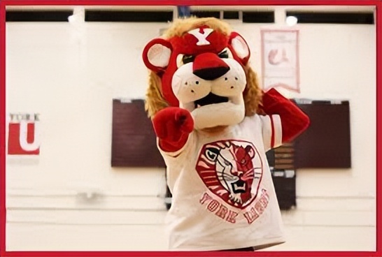 约克大学加拿大算几本,加拿大约克大学和国内大学对比