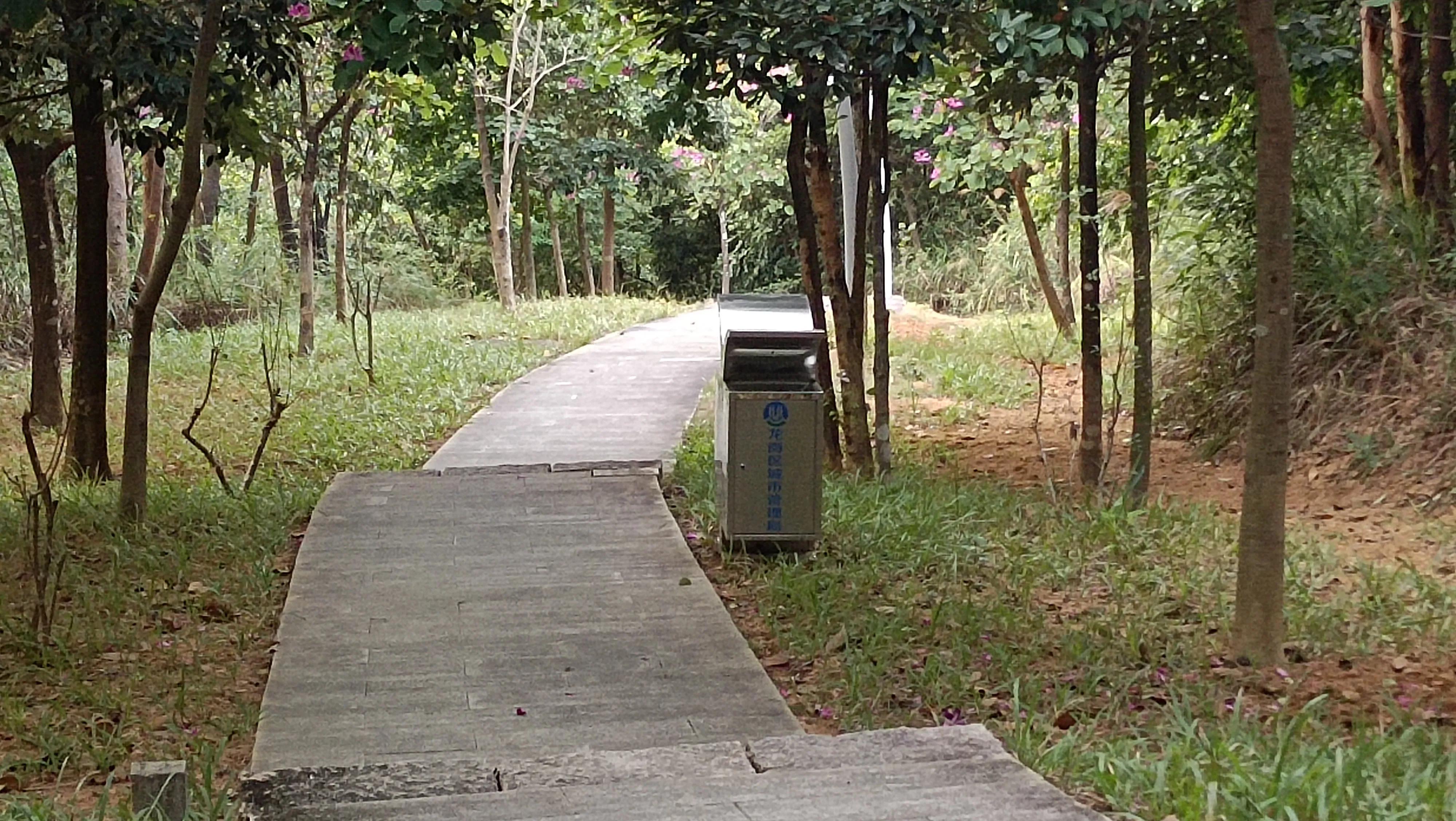 治疗心衰的名中医有哪些,心衰中医能治好吗