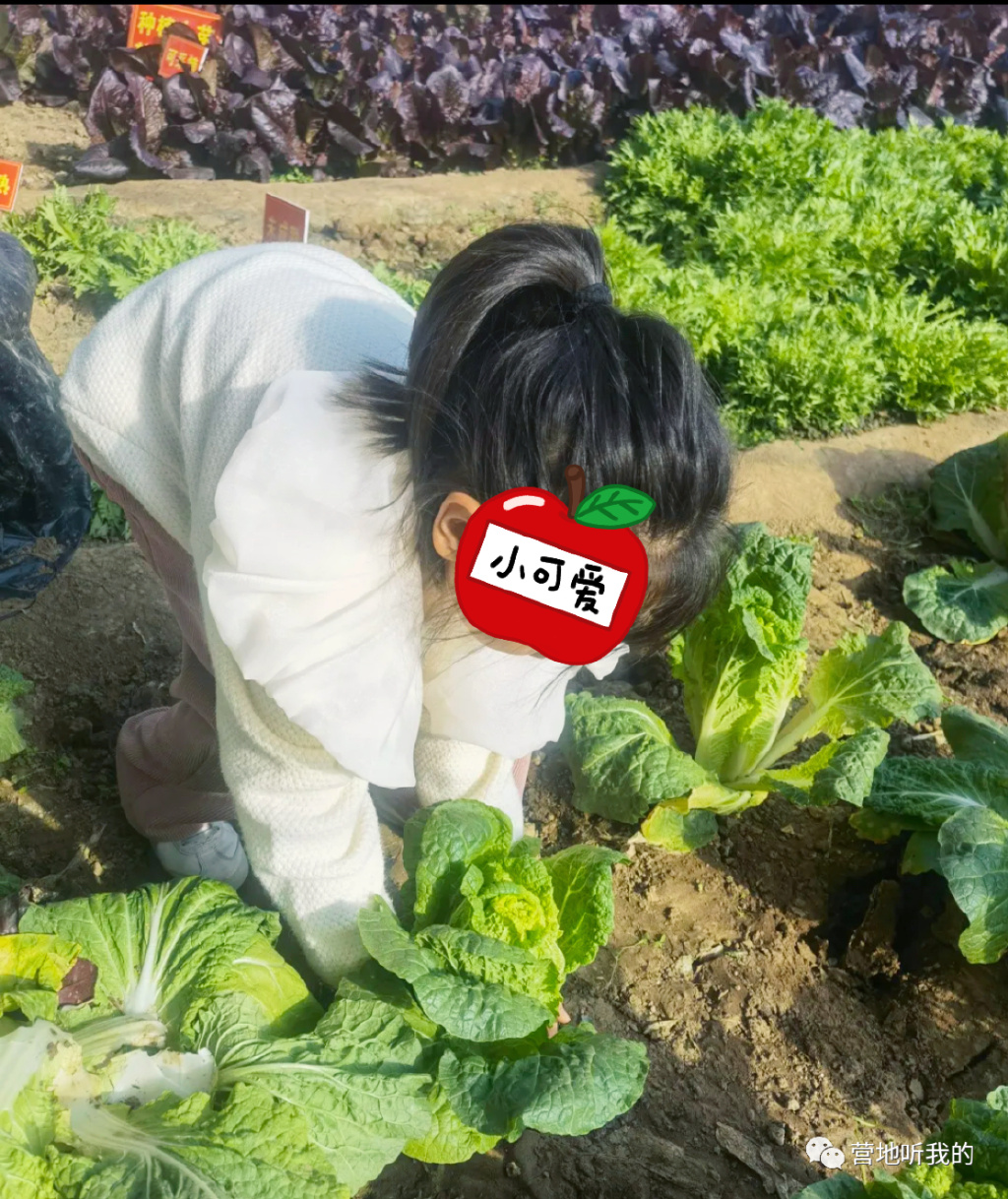 北京适合孩子玩的农场,一年四季都可以去的亲子农场