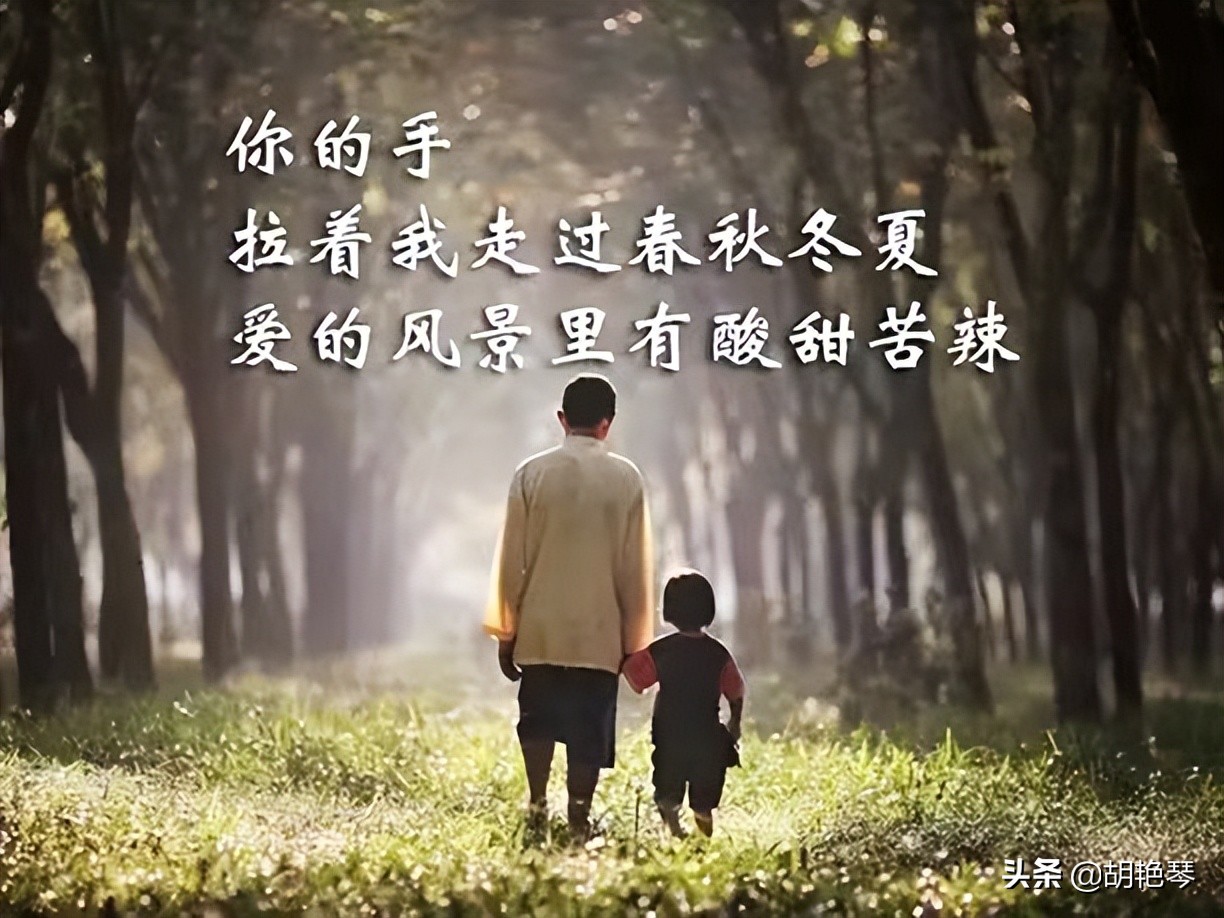 父亲节父爱如山的诗句,父亲节给父亲三行古诗